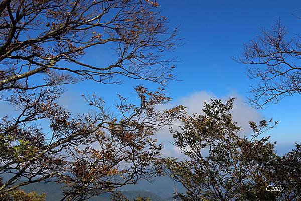 IMG_0897.JPG IMG_0897.JPG