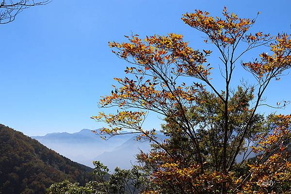 IMG_0915.JPG IMG_0915.JPG