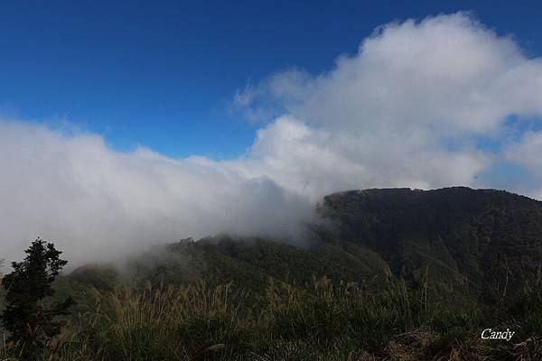 IMG_1032.JPG IMG_1032.JPG