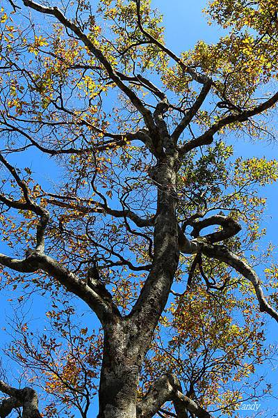 IMG_0934.JPG IMG_0934.JPG