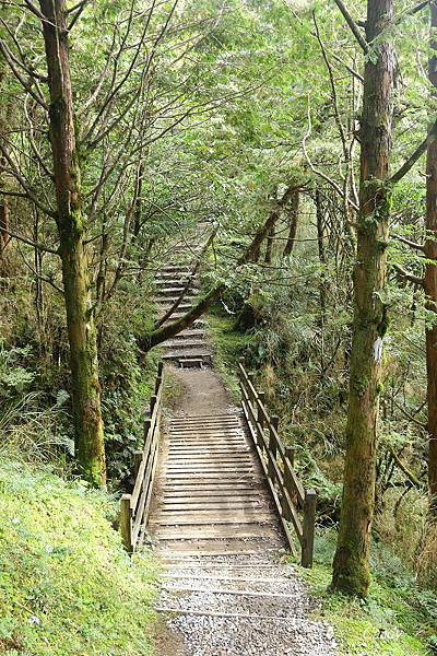 IMG_1074.JPG IMG_1074.JPG