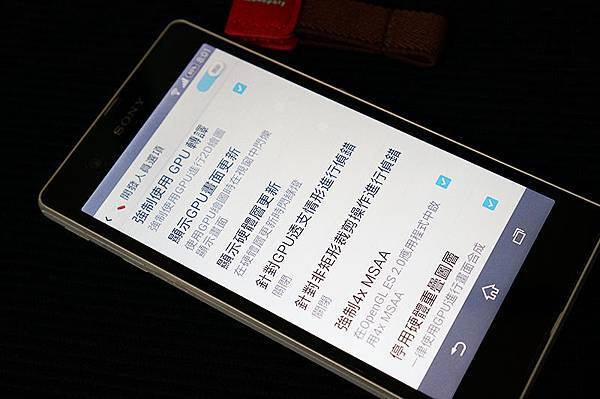 DSC04373 DSC04373