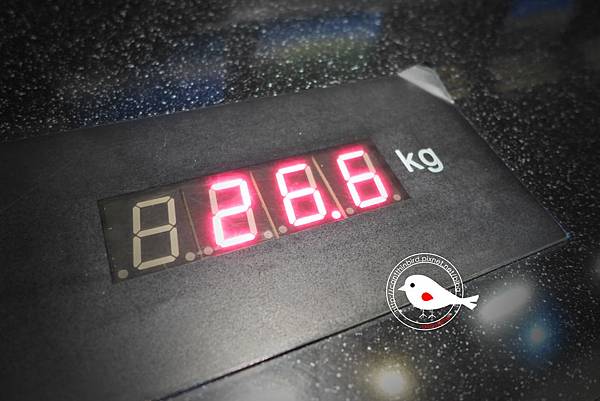 P1000035.JPG P1000035.JPG