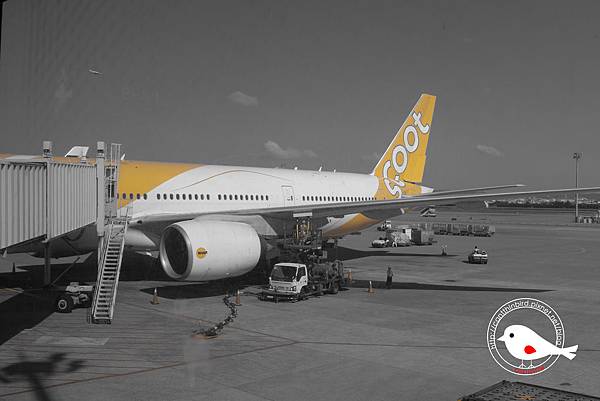 P1000047.JPG P1000047.JPG