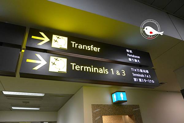 P1000071.JPG P1000071.JPG