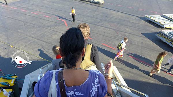 P1000115.JPG P1000115.JPG