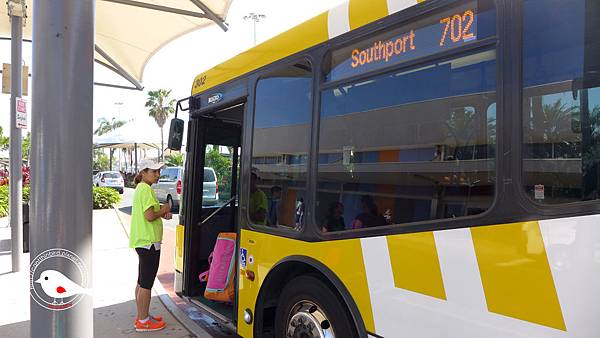 P1000118.JPG P1000118.JPG