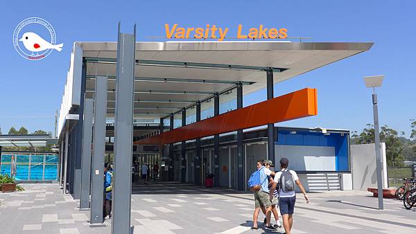 P1000122.JPG P1000122.JPG