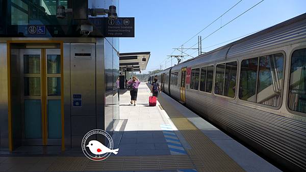 P1000124.JPG P1000124.JPG