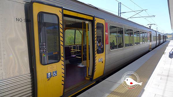 P1000125.JPG P1000125.JPG