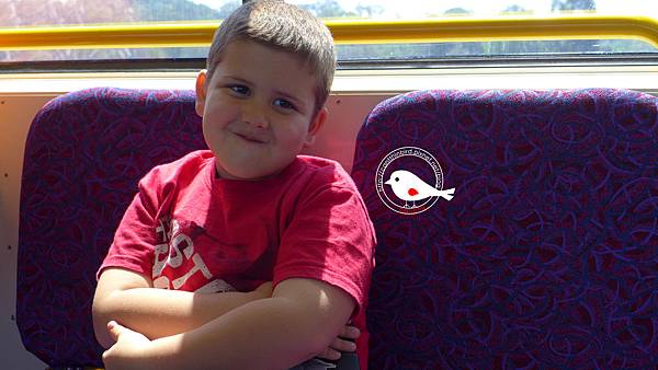 P1000132.JPG P1000132.JPG