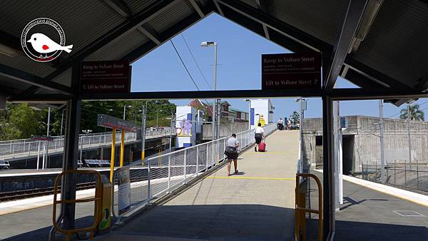 P1000137.JPG P1000137.JPG