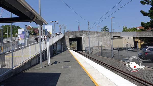 P1000138.JPG P1000138.JPG