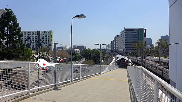 P1000141.JPG P1000141.JPG