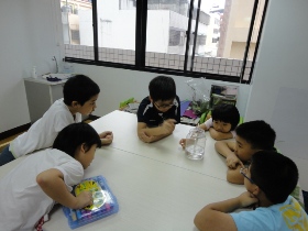 DSC06238.JPG DSC06238.JPG