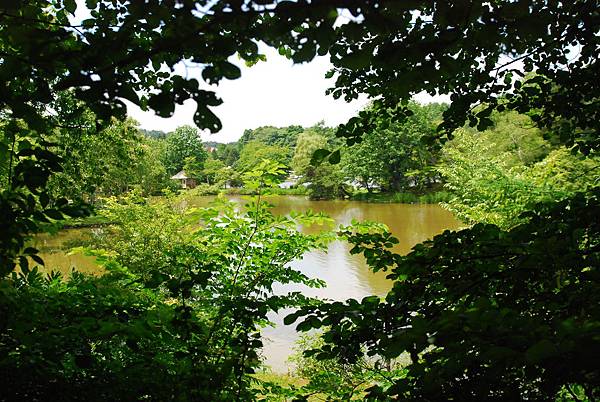 DSC_0232.JPG DSC_0232.JPG