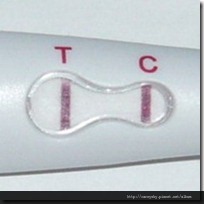 20080408-2 20080408-2