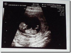 20080522-2 20080522-2