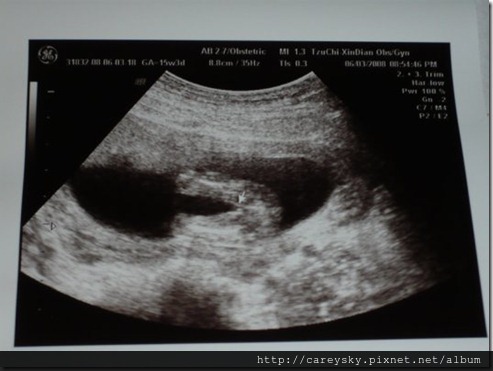 20080604-3 20080604-3