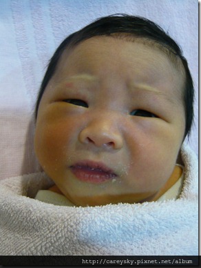 20081125-4 20081125-4