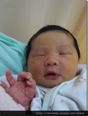 20081125-5 20081125-5