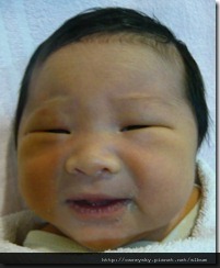 20081125-1-1 20081125-1-1