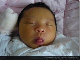 20081127-2 20081127-2