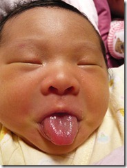 20081127-3 20081127-3