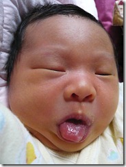 20081127-5 20081127-5