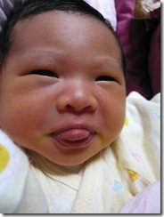 20081127-6 20081127-6