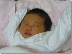 20081127-8 20081127-8