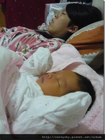 20081127-9 20081127-9