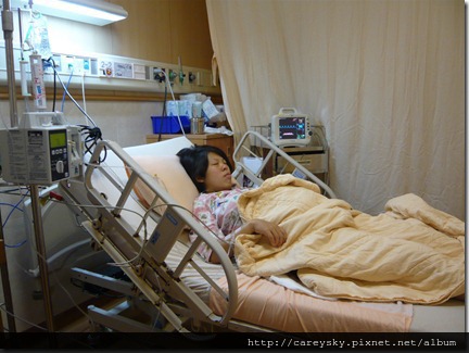 20081130-4 20081130-4