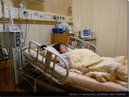 20081130-6 20081130-6