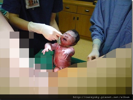 20081130-21 20081130-21