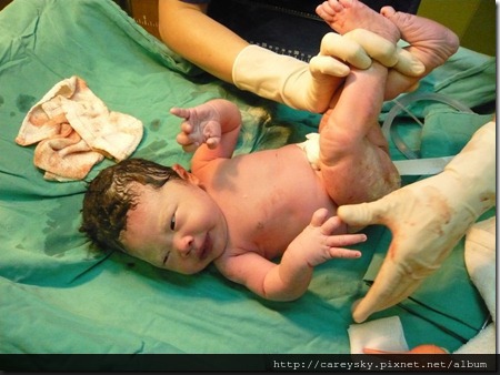 20081130-22 20081130-22