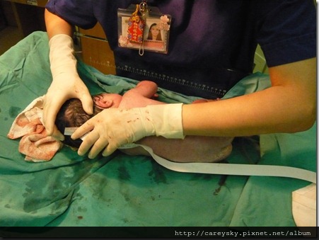 20081130-23 20081130-23