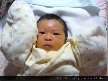 20081203-4 20081203-4