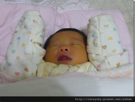 20081203-6 20081203-6