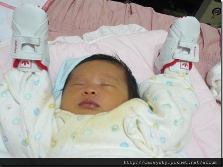 20081203-7 20081203-7