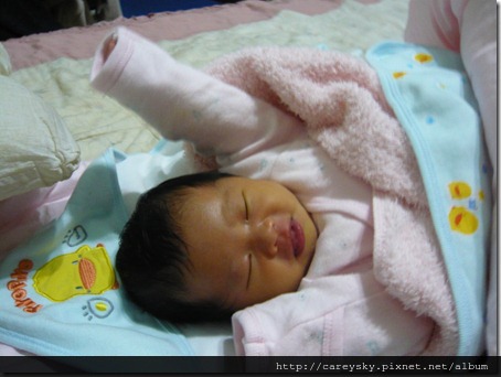 20081203-9 20081203-9