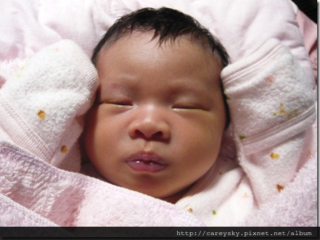 20081203-10 20081203-10