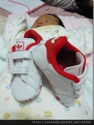 20081204-1 20081204-1