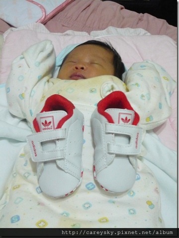 20081204-2 20081204-2