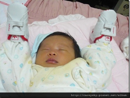 20081204-4 20081204-4