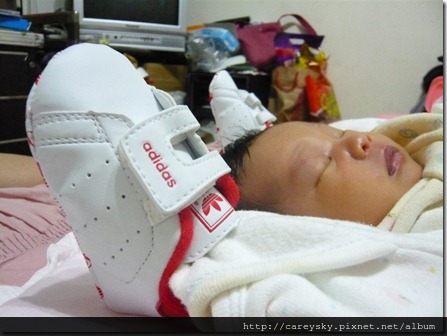 20081204-5 20081204-5