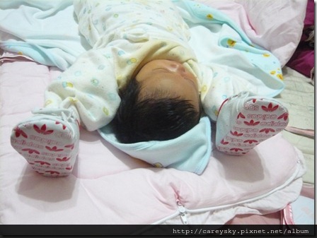 20081204-6 20081204-6