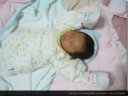 20081204-7 20081204-7