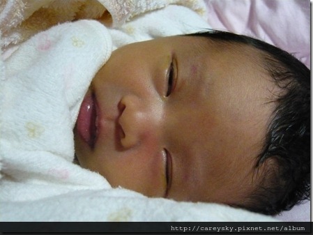 20081206-10 20081206-10