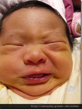 20081206-5 20081206-5